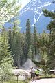 30 - Athabasca Falls - IMG_1084